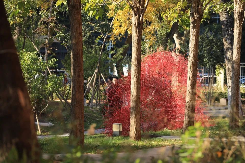 丹岩丨中国北京丨北京林业大学-20