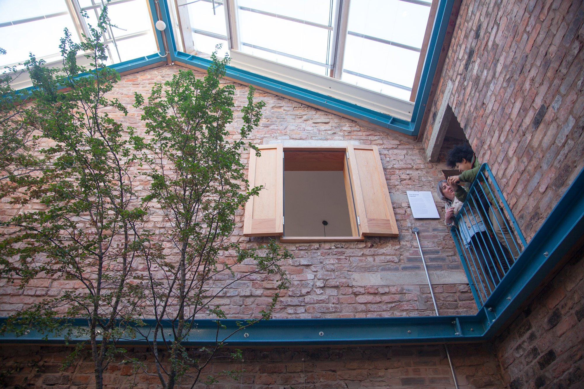 格兰比冬季花园丨英国利物浦丨Assemble-19