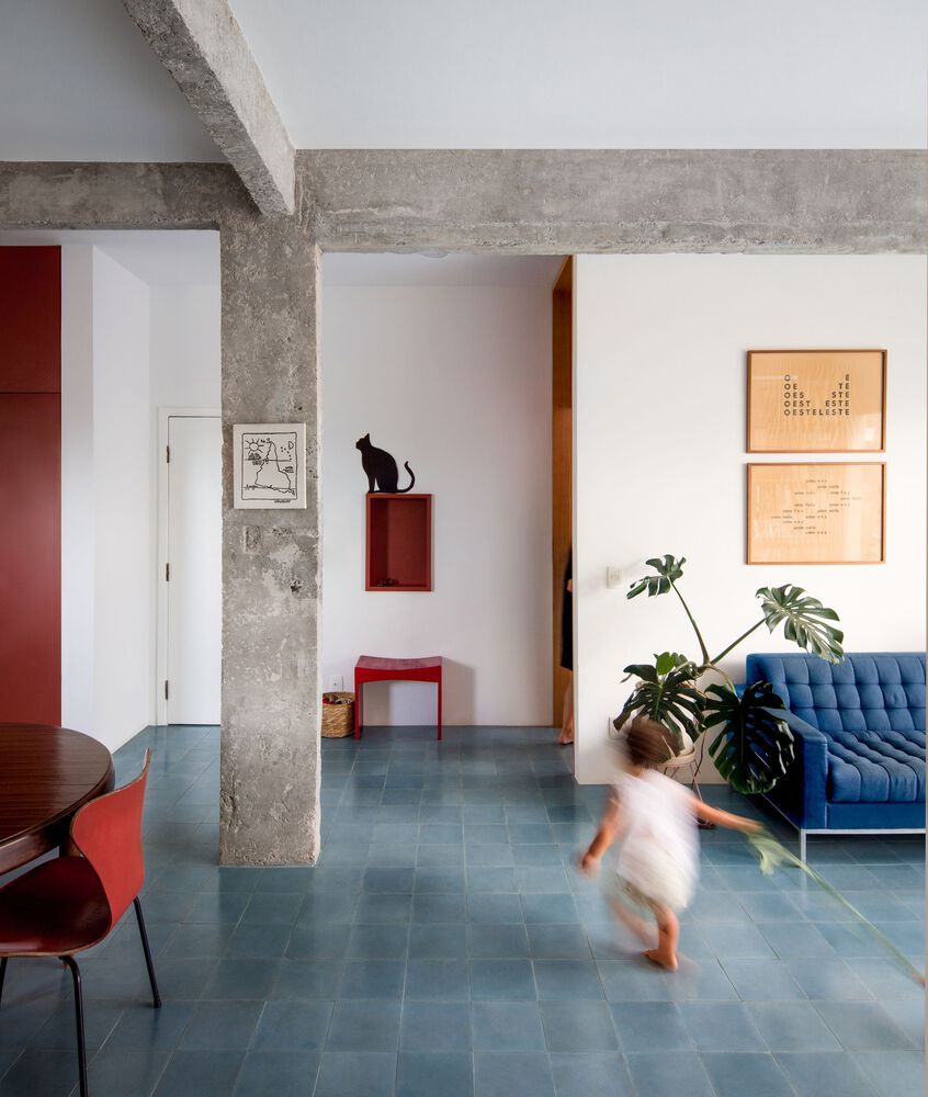 巴西圣保罗 Alameda Barão de Limeira 公寓翻新设计-31