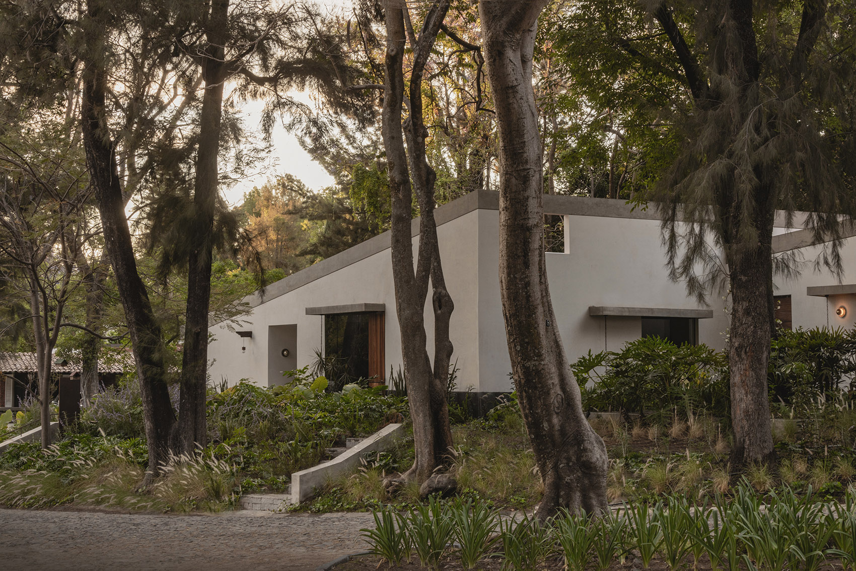 Malvas 59住宅丨墨西哥丨Estudio Radillo Alba-12