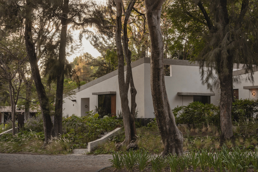 Malvas 59住宅丨墨西哥丨Estudio Radillo Alba-12