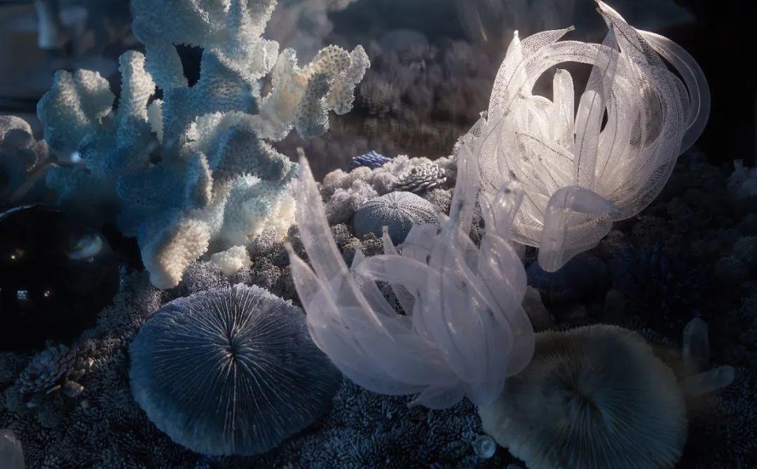 山海回响 · 宸鹿设计岭昌雲起玖珑售楼处丨中国台州丨宸鹿设计顾问-46