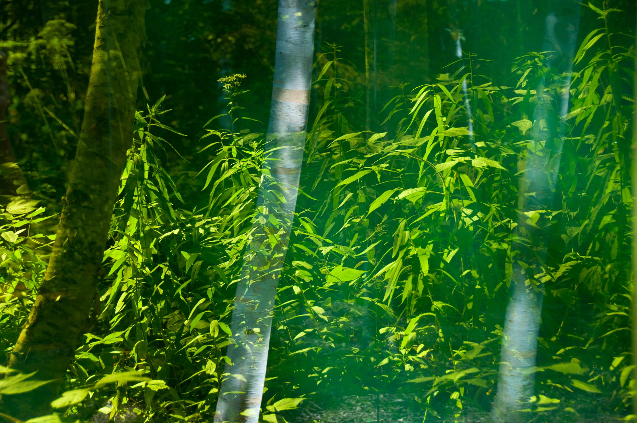 2019 加拿大国际花园节 | 彩色“岩石”结构装置引人入胜-121