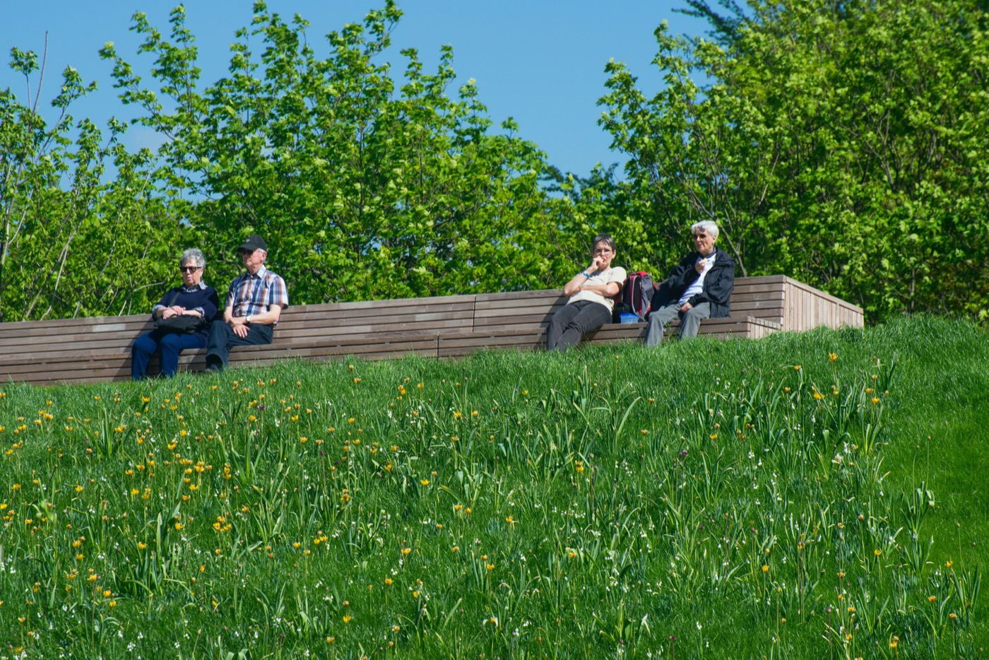 城市花园复兴 · 德国布尔城市中心更新-25