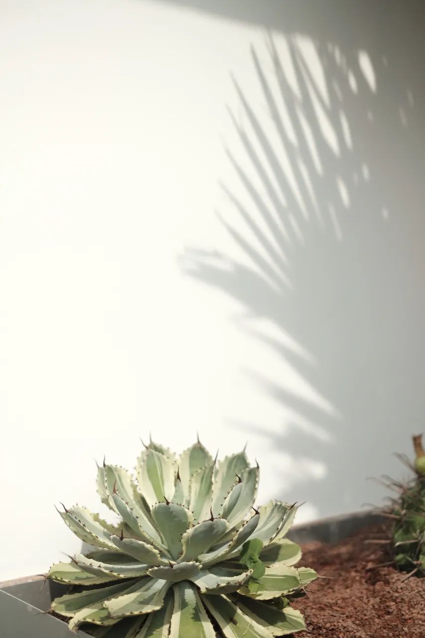 TC美发沙龙·皇后公园店丨中国杭州-56