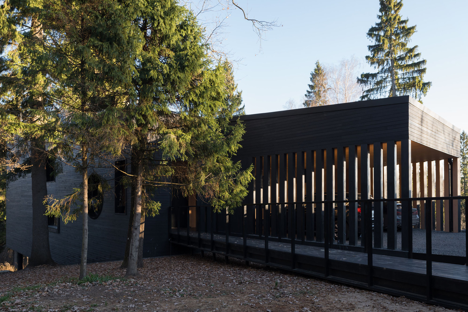 俄罗斯莫斯科 Oblast 老松树环绕的生态家园-66