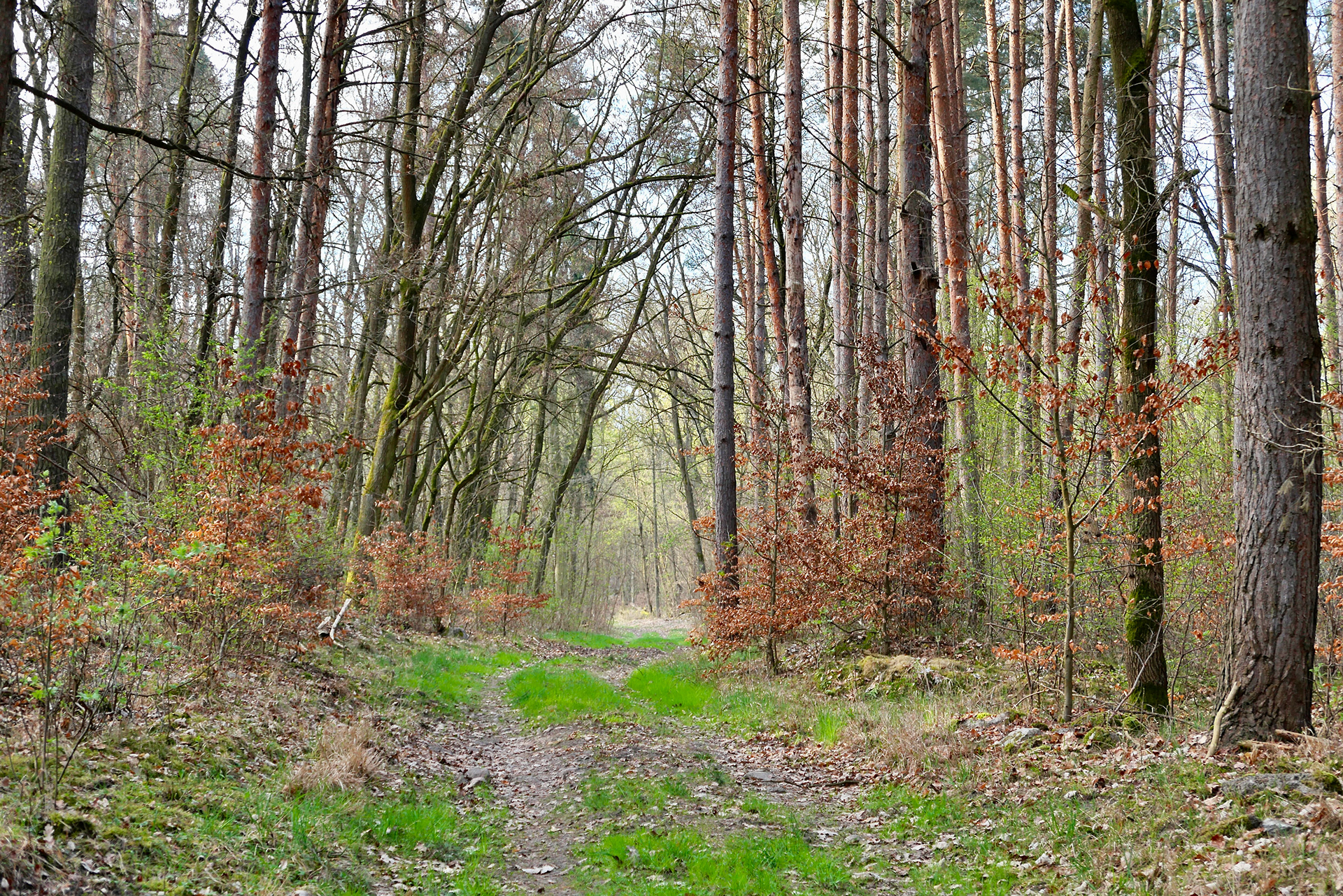 Märkisch  Oderland地区旅行相关展示-5