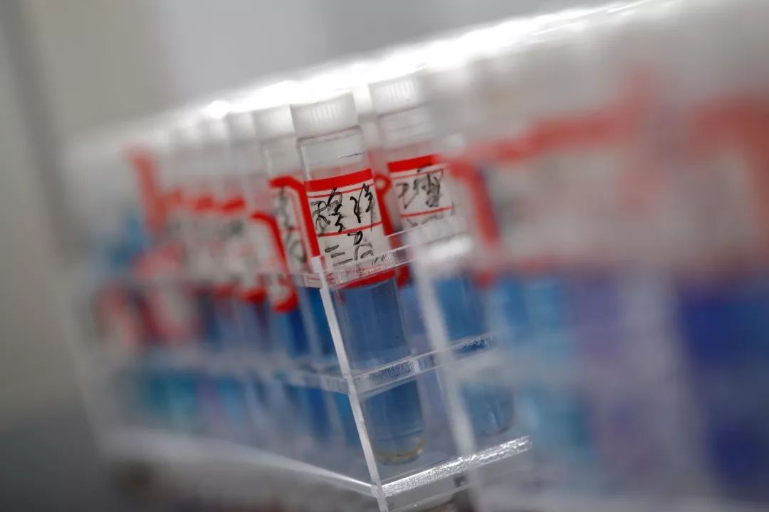 博洛尼环保实验室揭秘 | 健康家居的守护者-6