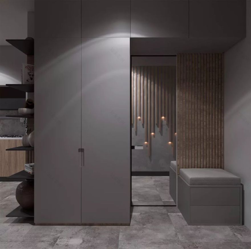 38 平米微型公寓的豪华居住感-0