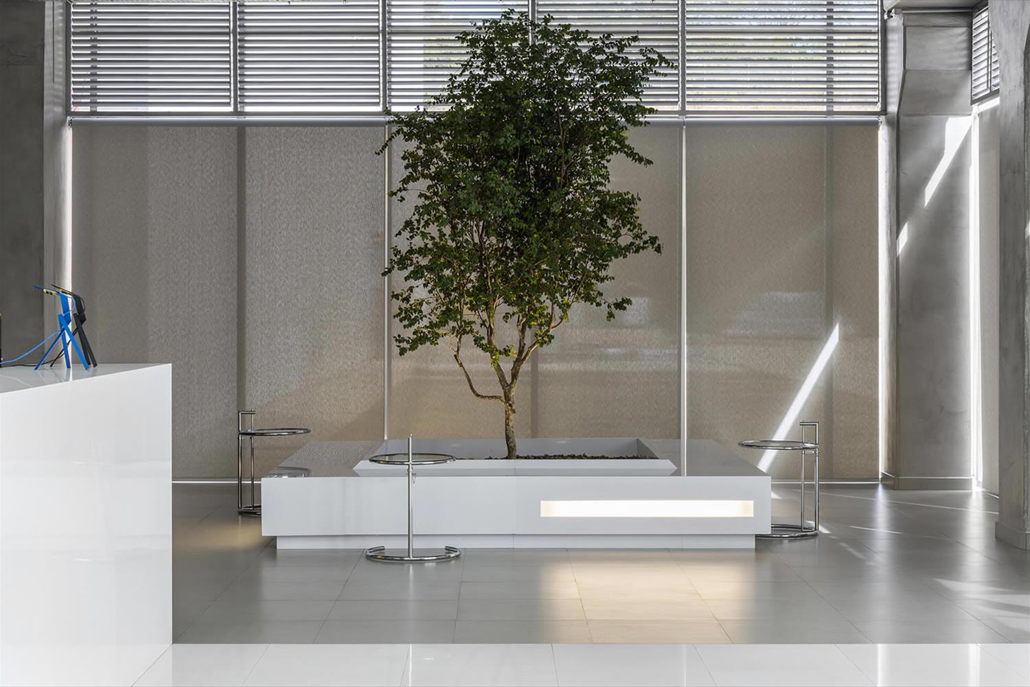 巴西 SP 办公室设计 · 木质与玻璃的完美融合-1