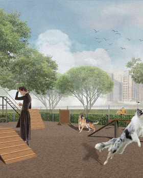 Собачья площадка в парке Оккервиль