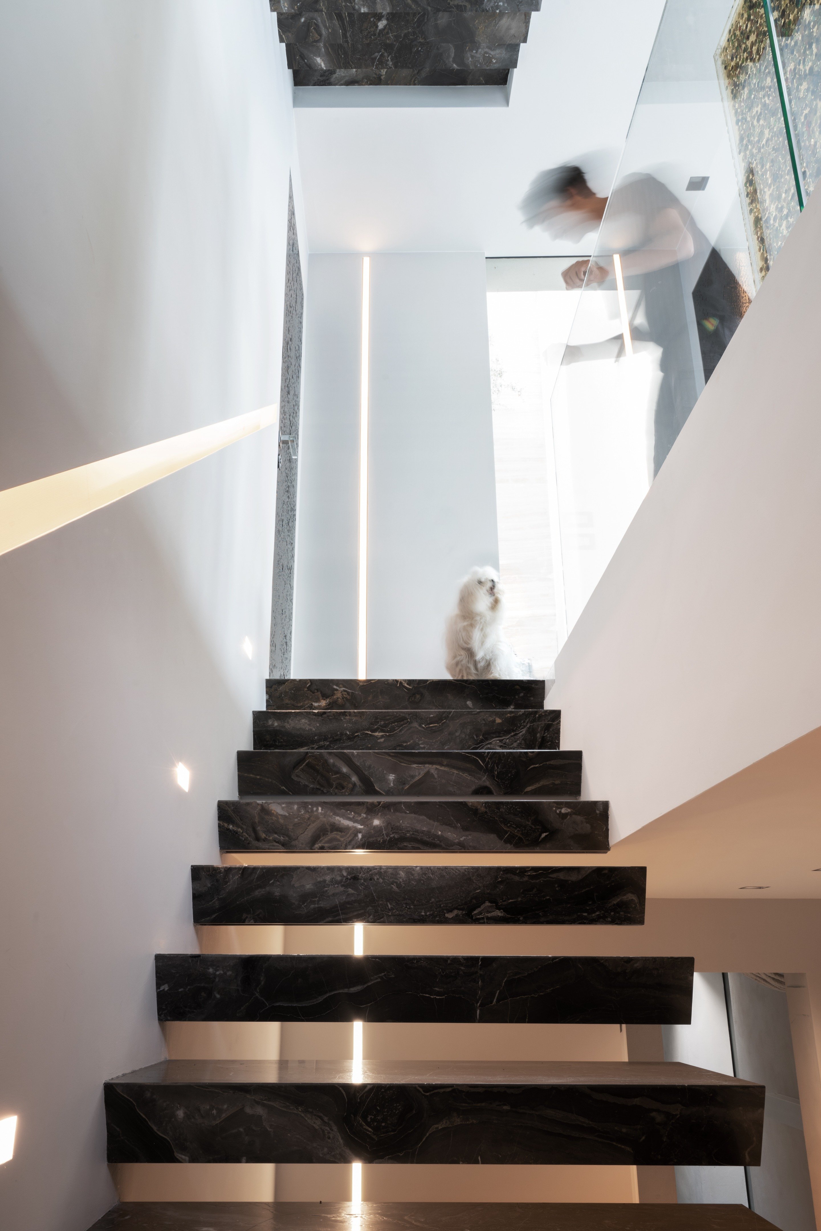 地中海风情 · 蒙特卡洛别墅 Villa Lea丨爱尔兰卡洛丨米兰 Massimo 和 Marco Donizelli 工作室-31