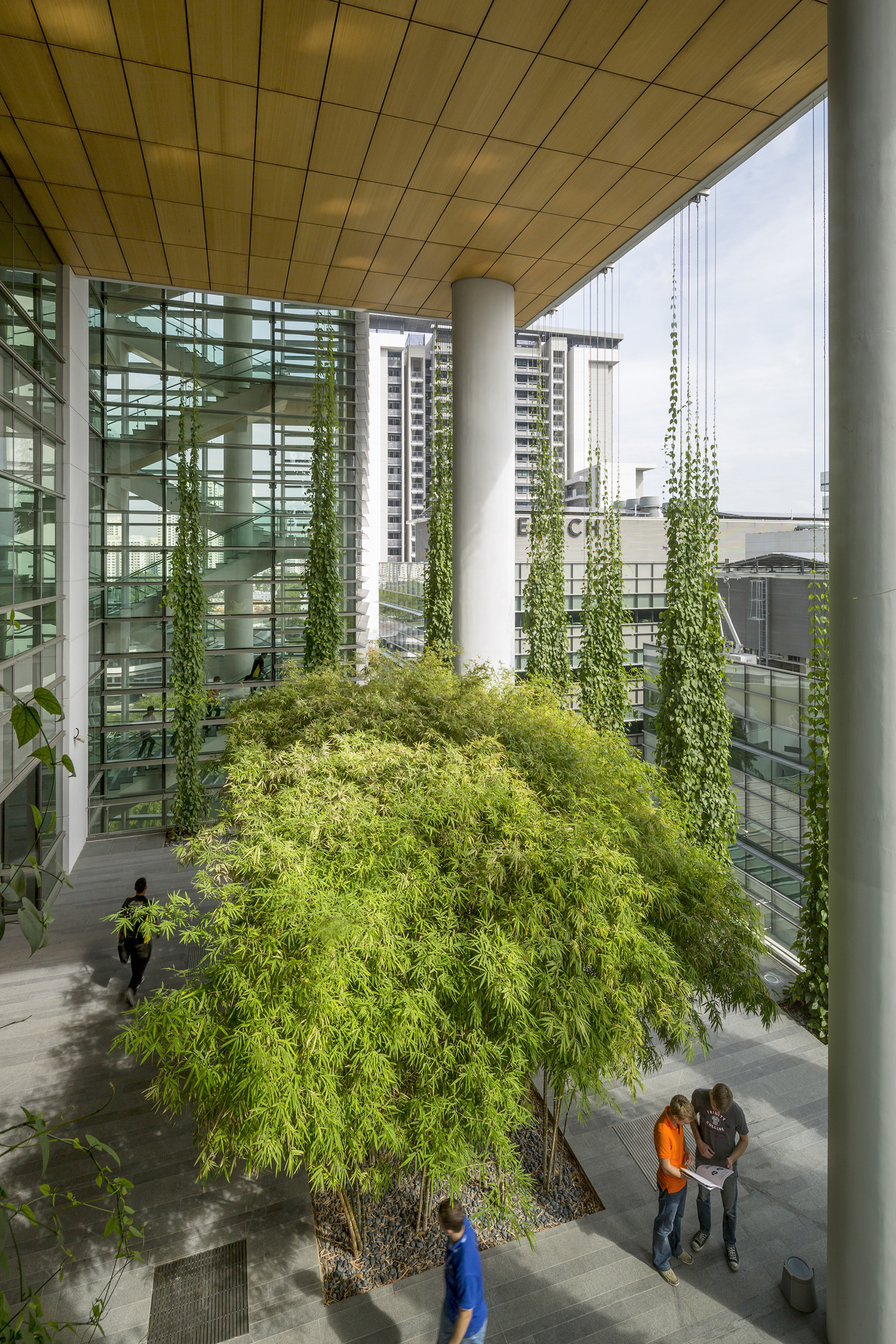 新加坡 CREATE 研究园区 | 绿色科研建筑的典范-12