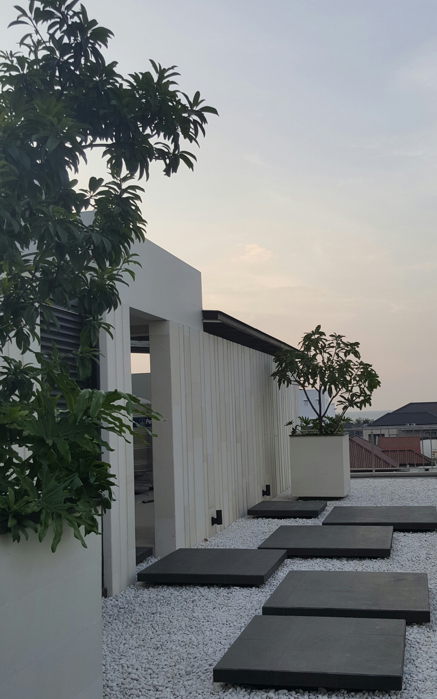 热带光影之家 · 现代极简的室内设计-5