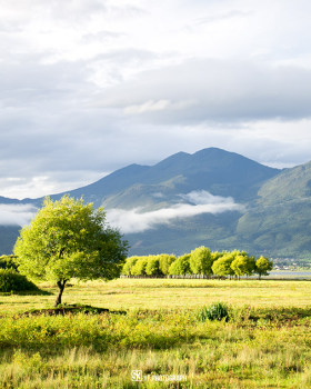 云南摄影记录丨中国云南