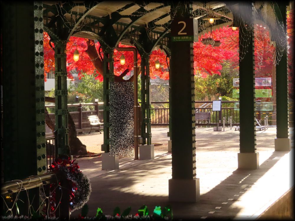 瑠璃光院（旧高级旅馆「喜鶴亭」）丨日本京都-11