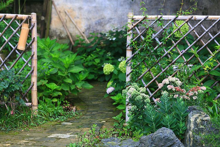 辞去工作，历时7个月，他们过上了有院子，有诗和远方的生活-59