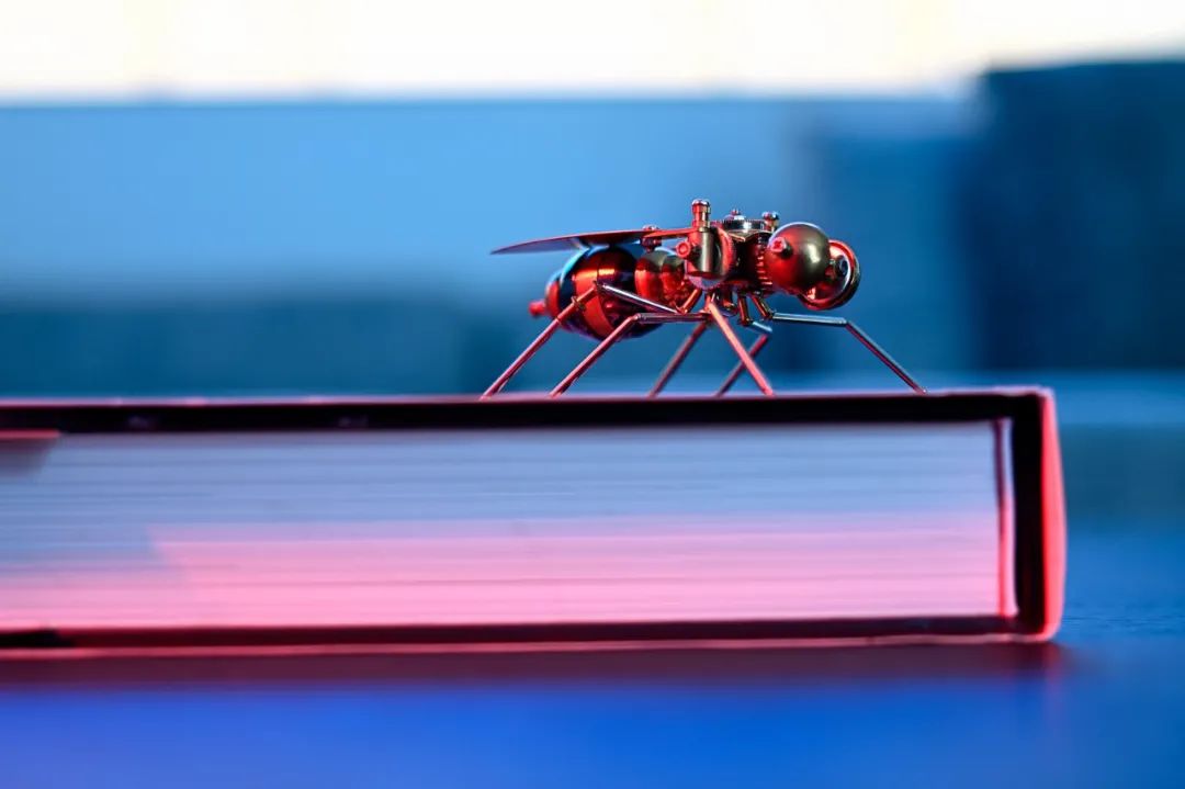 河东科技办公室丨中国厦门丨共界设计事务所(厦门)-34