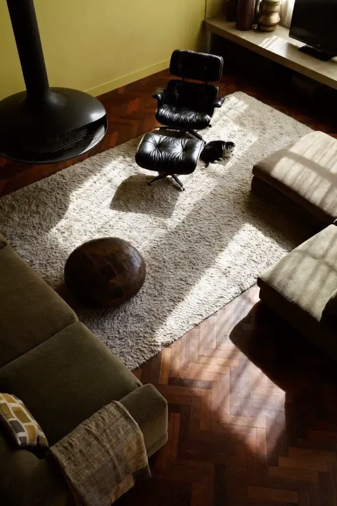 荷兰 19 世纪经典设计住宅,隐藏的现代魅力-2