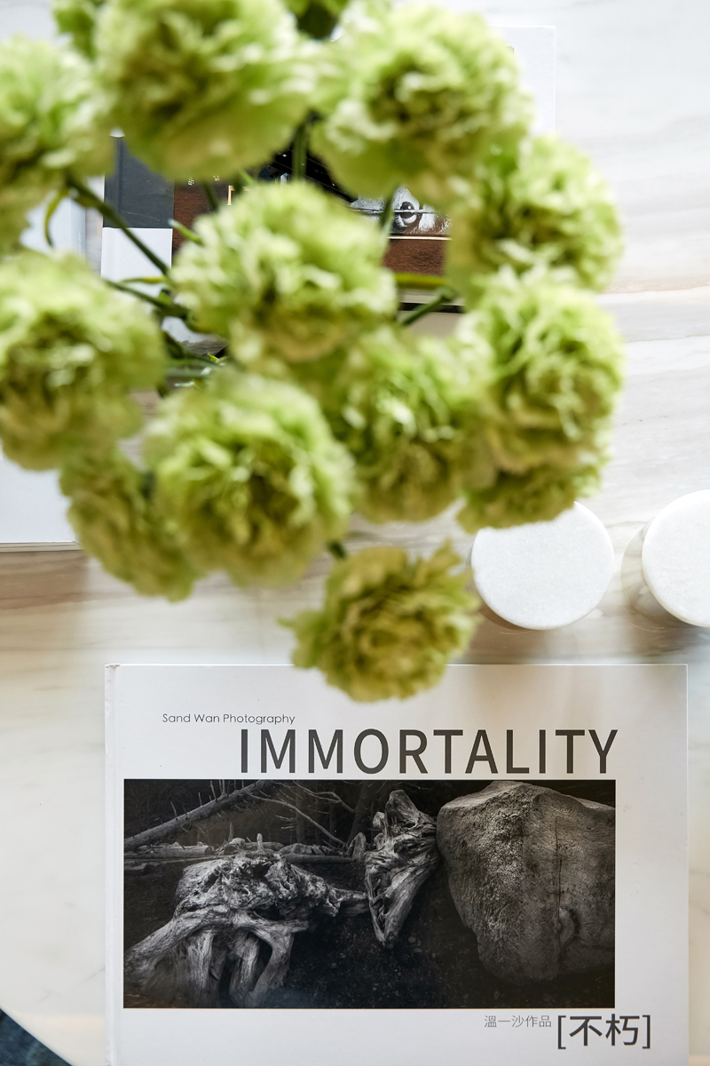 卓越前海壹号国际公寓-见证深圳的城市变迁-18