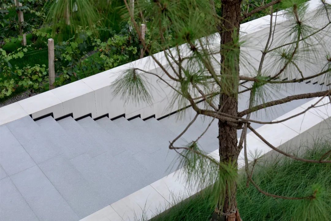 重庆万科璞园丨中国重庆丨WTD纬图设计-23