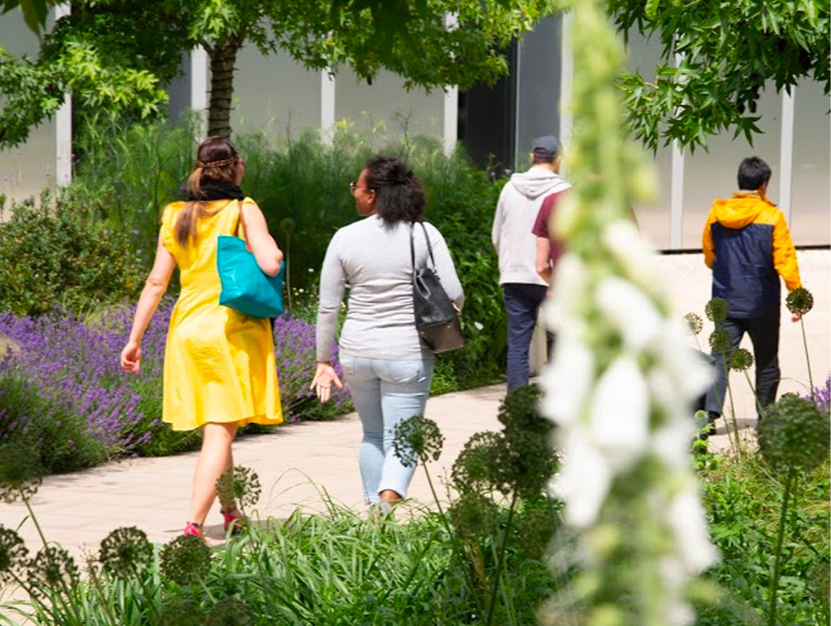 
			 SKY TV Campus Gardens			-5