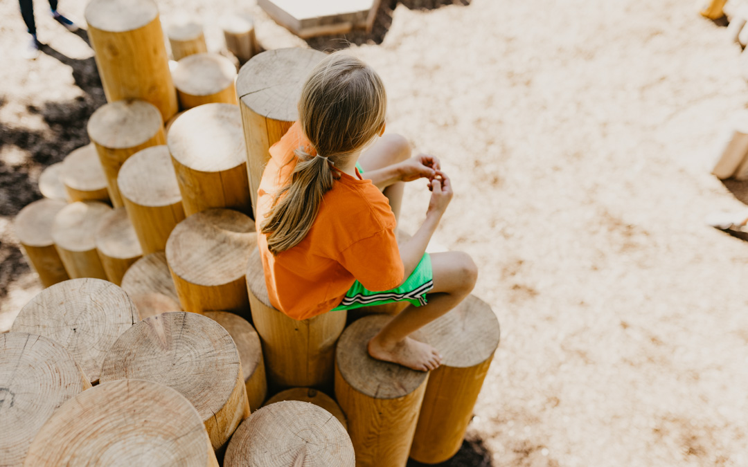 无忧之域 · Earthscape丨美国-85