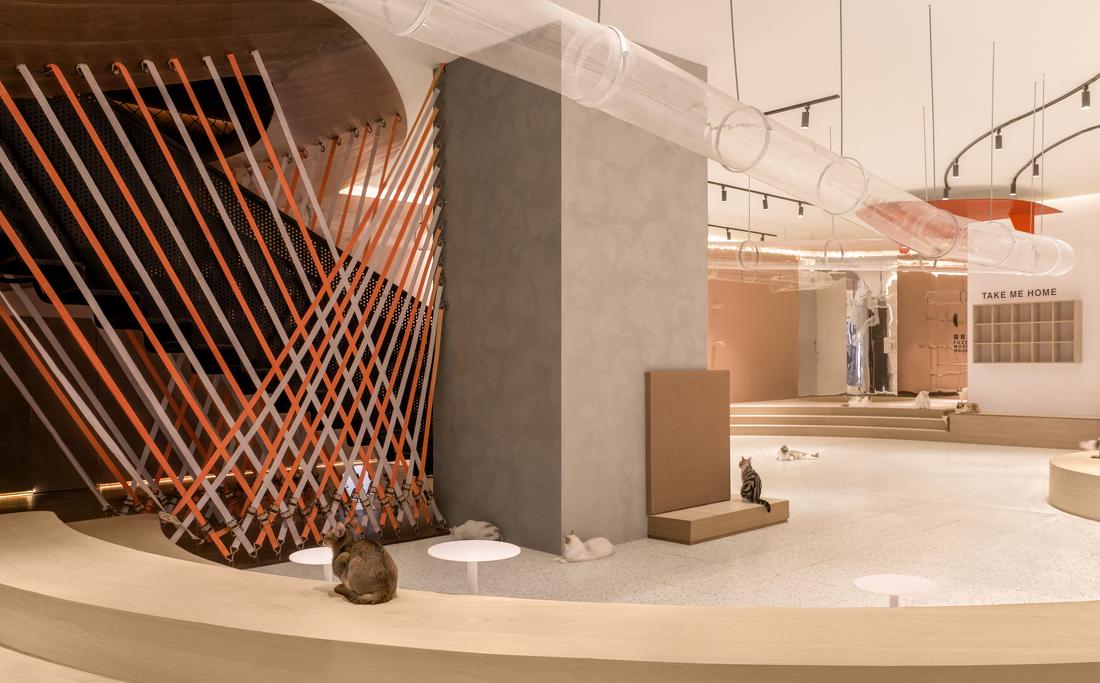 喵星人入侵 · 猫咪共享空间丨中国青岛丨黄士华-13