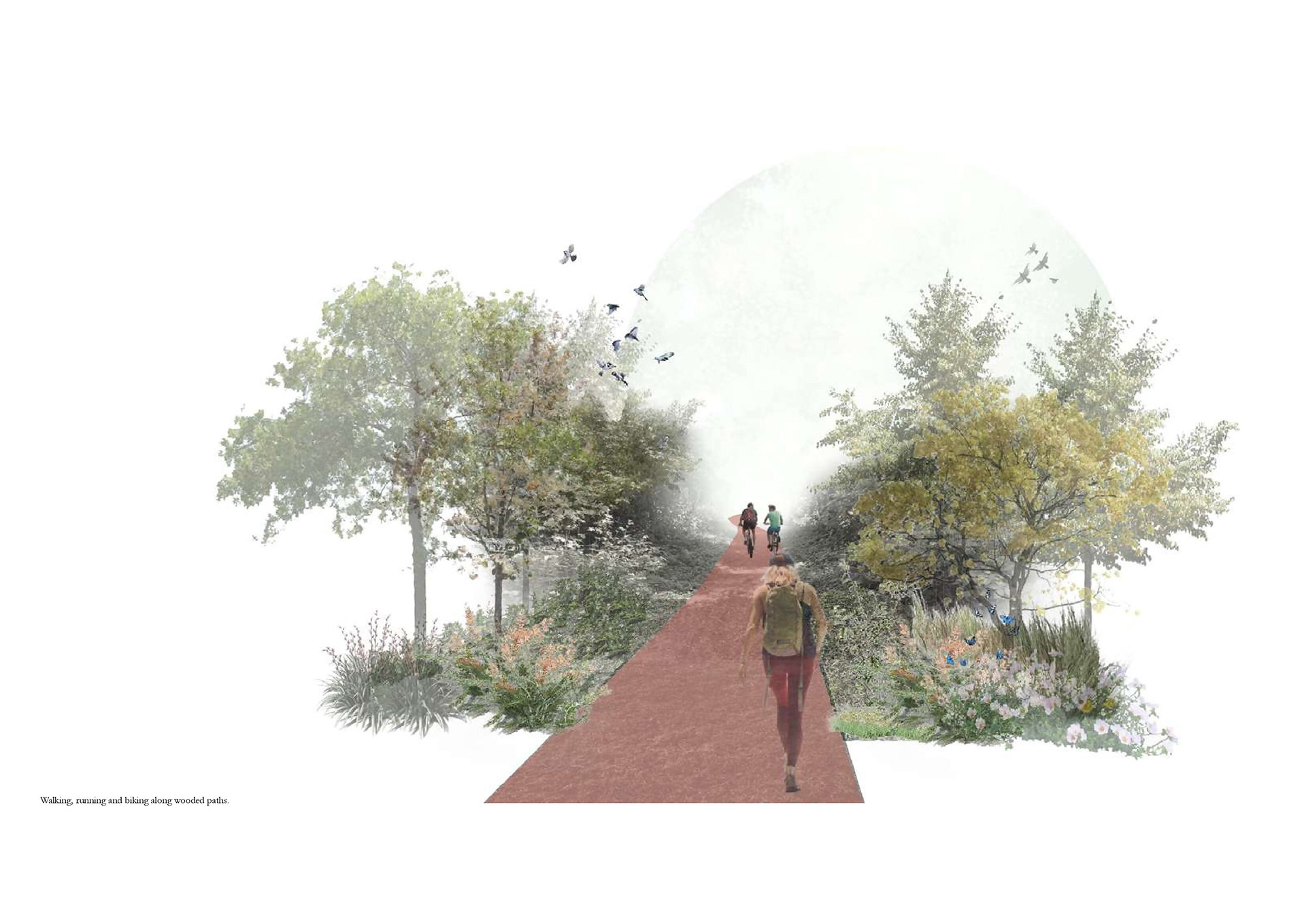 Pre-Thesis Final Studio: Un Po Piu di Boschi-26