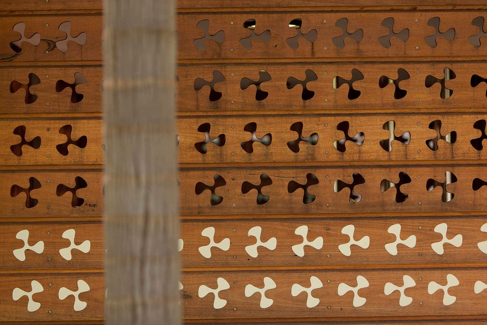 花卉力量 | 雷格·巴特利椭圆形看台翻新-12