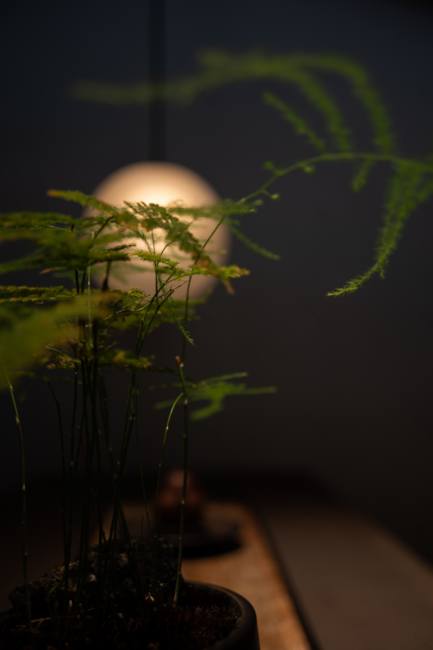 茶山印象 · 今逸堂普洱茶体验店设计丨中国西双版纳丨楷素设计-39