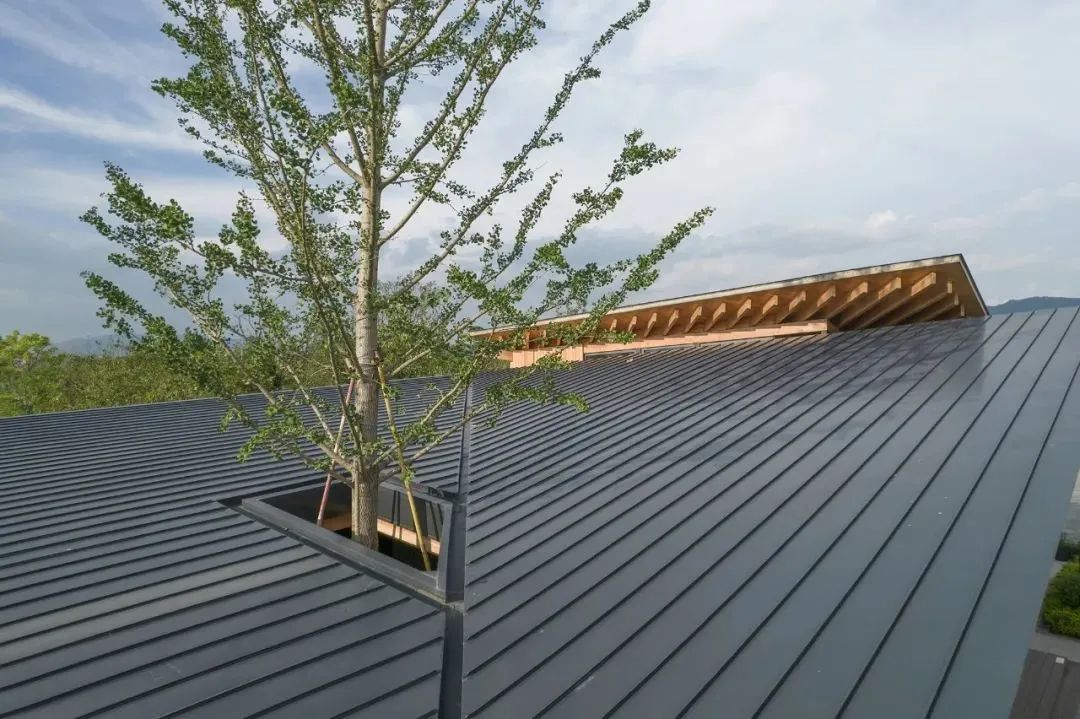 富阳·阳陂湖湿地公园南接待中心丨中国杭州丨尌林建筑设计事务所-64