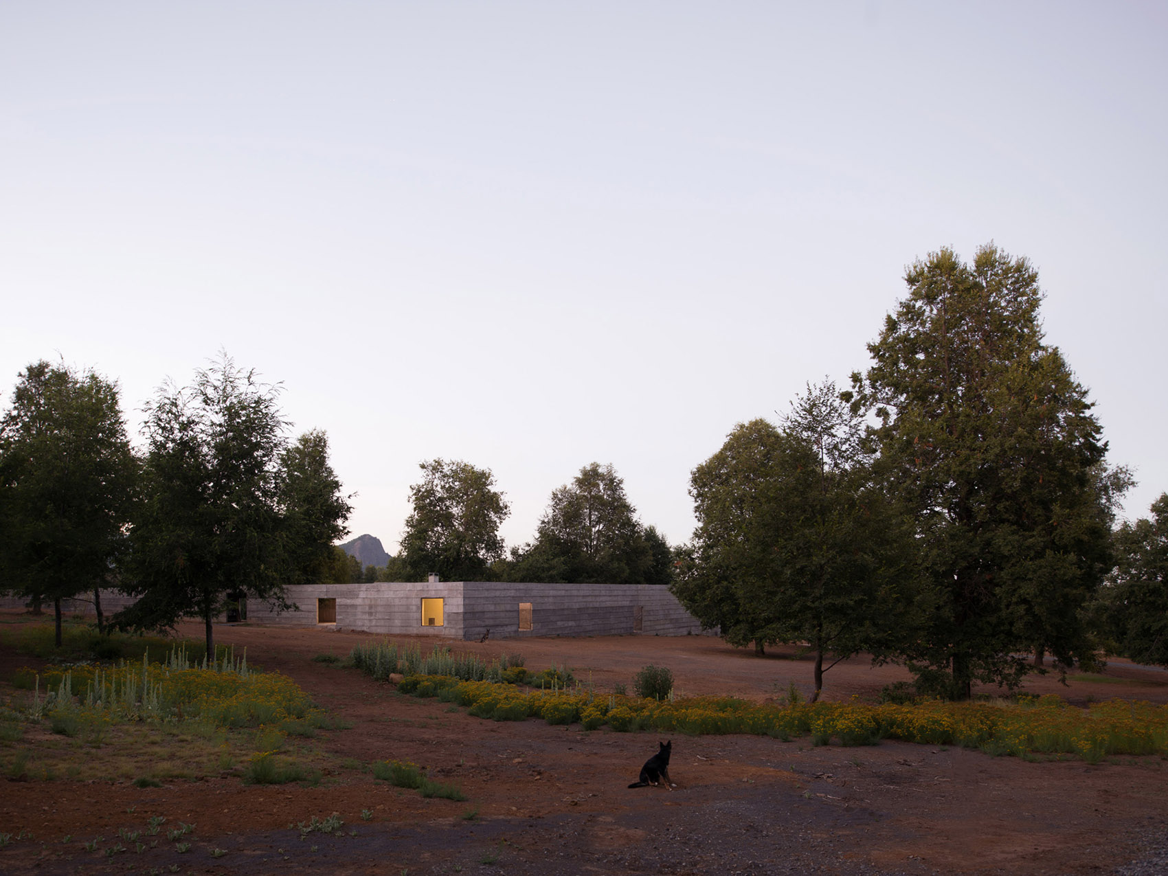 Luna 住宅丨智利丨Pezo von Ellrichshausen-8