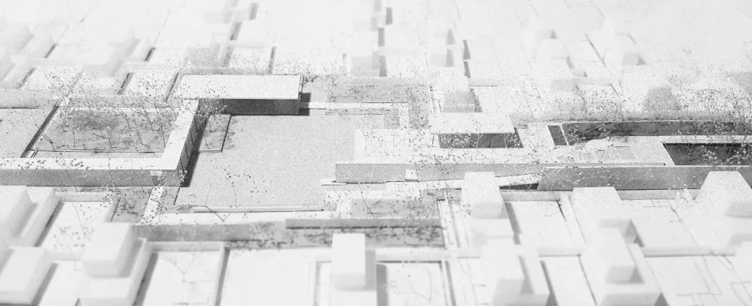 《雁归来》 | 水乡文化的现代解读-140