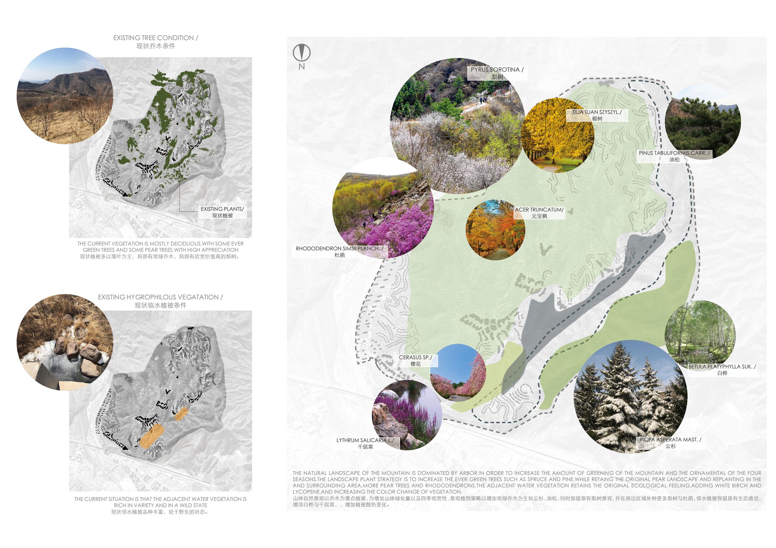 承德四季度假国际滑雪小镇景观总规划设计丨中国河北-42