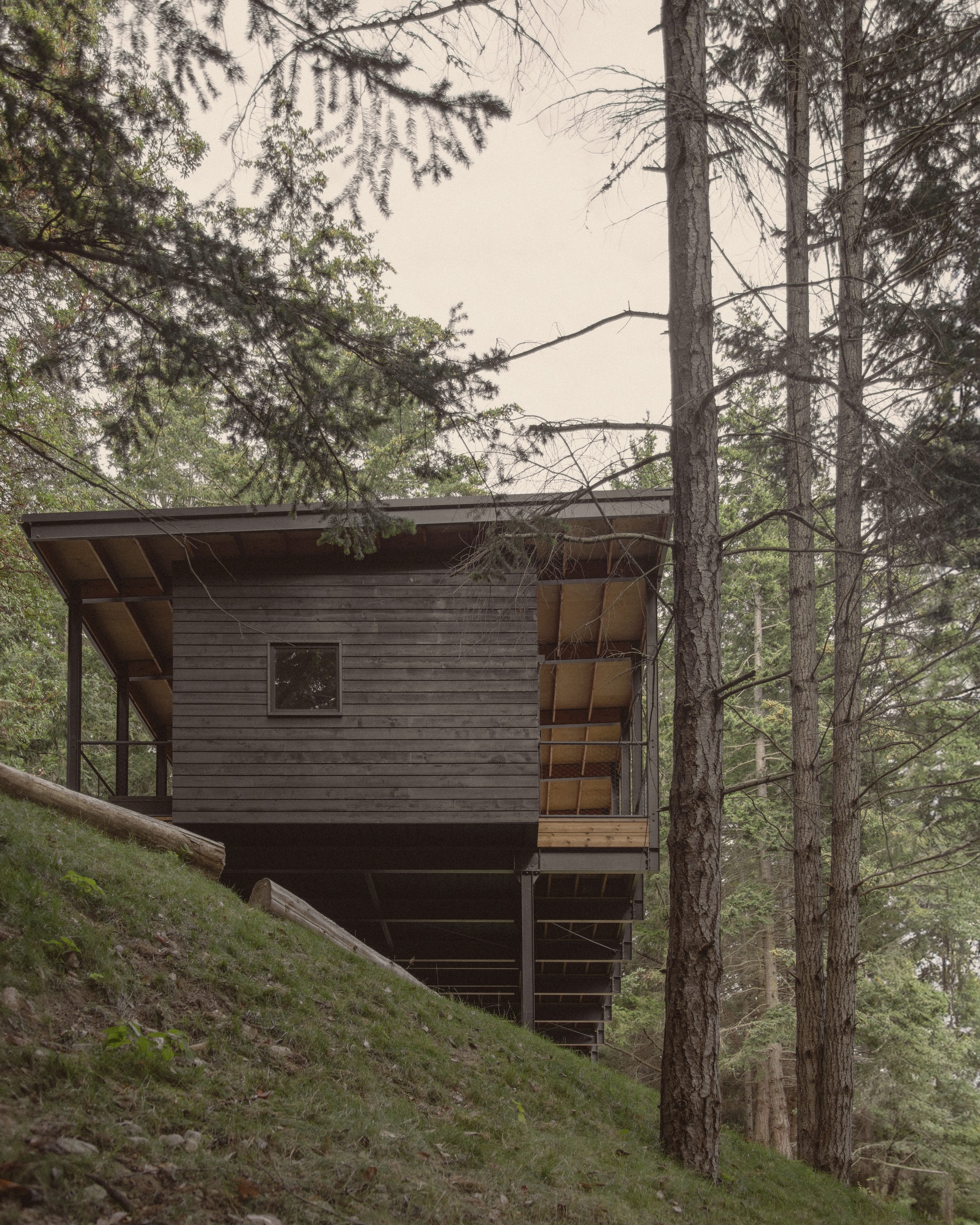 丨美国西雅图丨Miller Hull Partnership-43