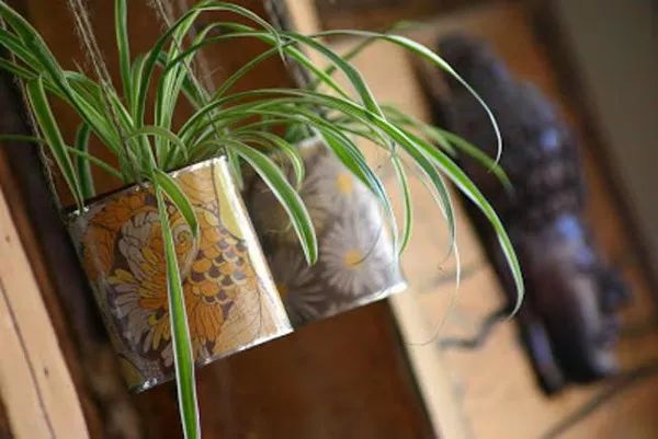 废旧物品的花园艺术,12 个 DIY 小花园设计案例-8