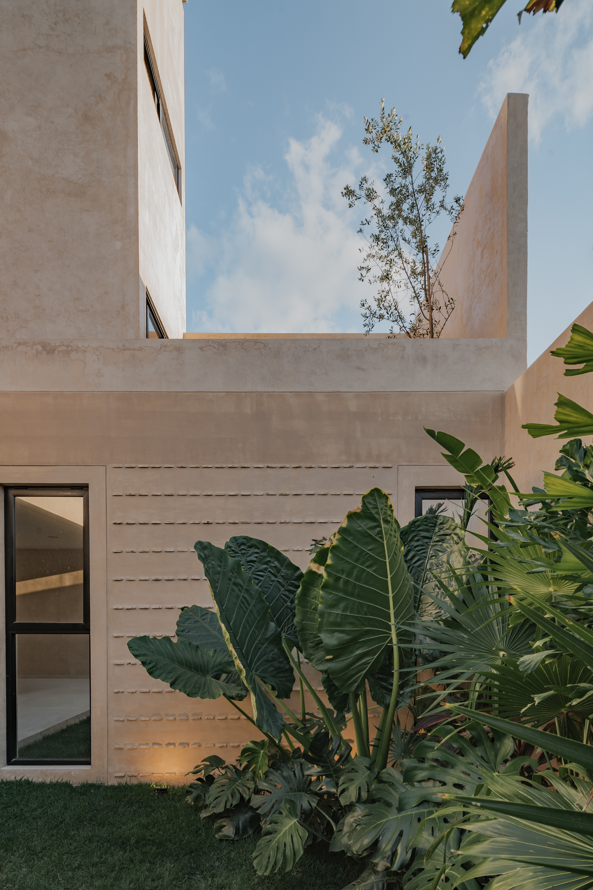 丨TARA Arquitectura-30