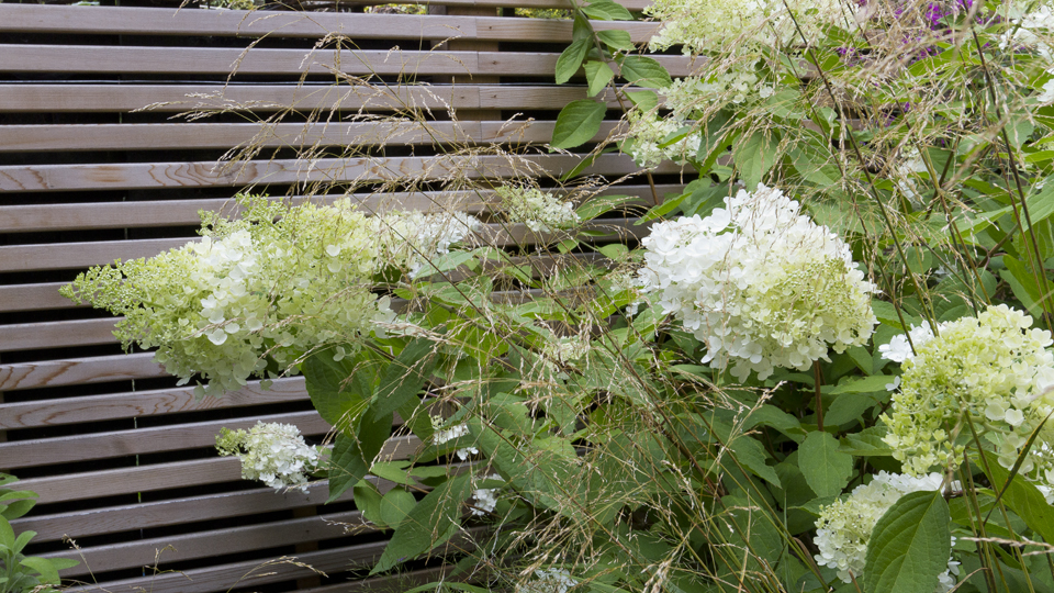 海德谷 约翰·戴维斯景观设计（这里假设Landscape结合语境是景观设计的意思，若有更准确的背景信息，可根据实际调整） -8