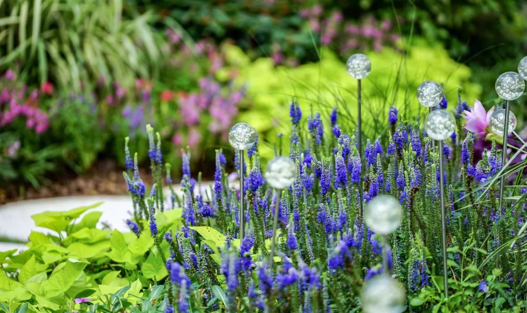 中建·邕和府——现代书院景观的邕江泛舟之旅-83