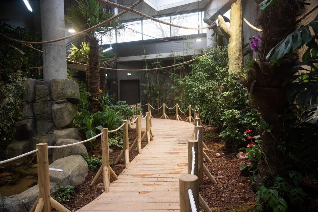 立陶宛动物园重建项目丨立陶宛考纳斯-19