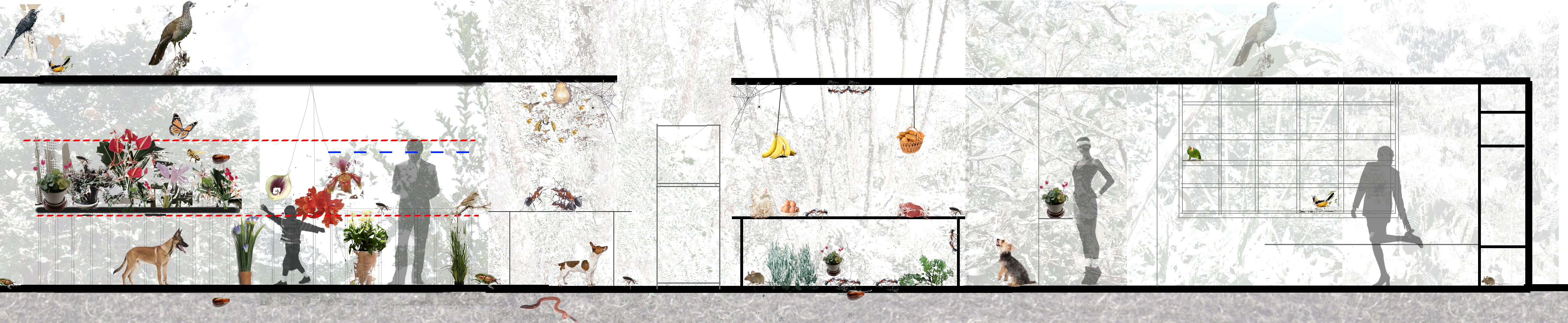 动植物 多莫斯实验室丨Jean Rodríguez + Camilo Sánchez-6