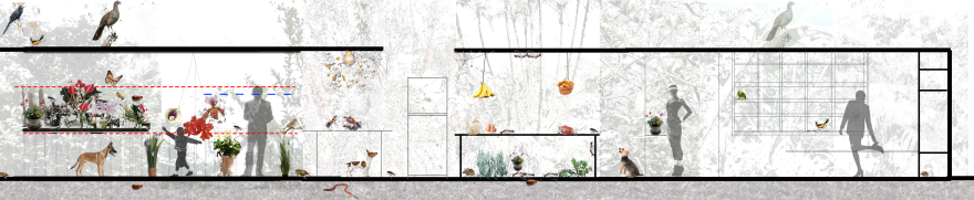 动植物 多莫斯实验室丨Jean Rodríguez + Camilo Sánchez-6