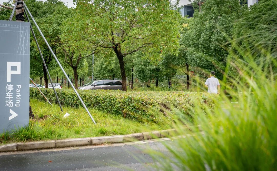 彩叶化树种装点昆山校园丨中国江苏丨上海亦境建筑景观-63