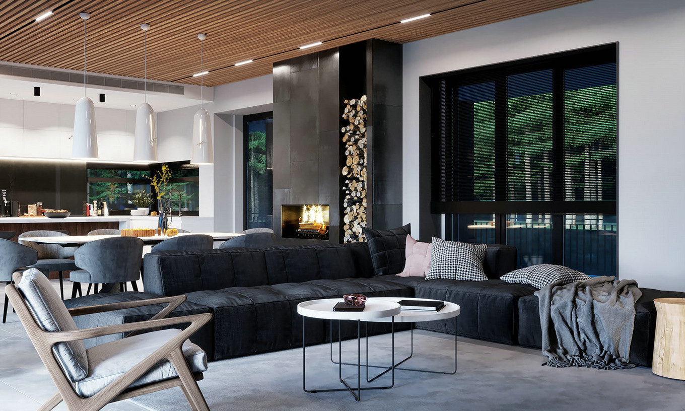 德国 392㎡简约精致私人别墅-2