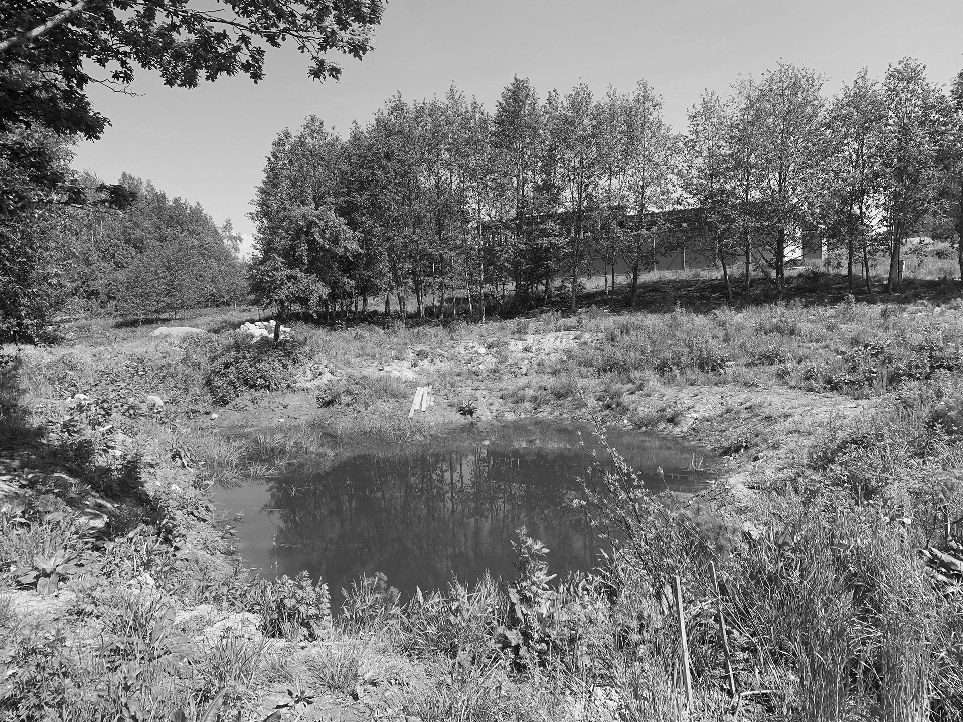 马特斯基之家丨白俄罗斯明斯克丨ZROBIM architects-51