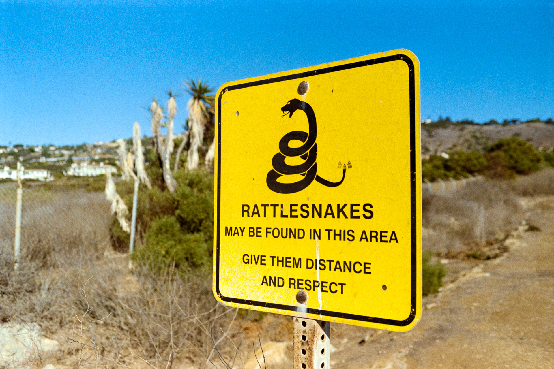 帕洛斯弗迪斯的35毫米胶片拍摄画面丨美国加利福尼亚-6