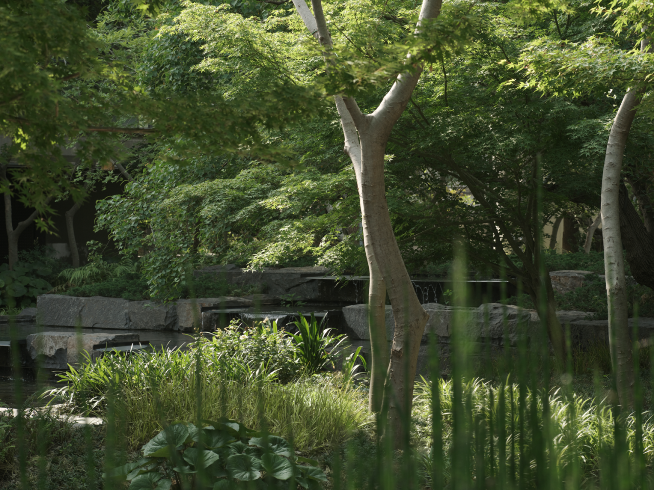 苏州和悦塘前雅院大区丨中国苏州丨MIND迈德景观-91