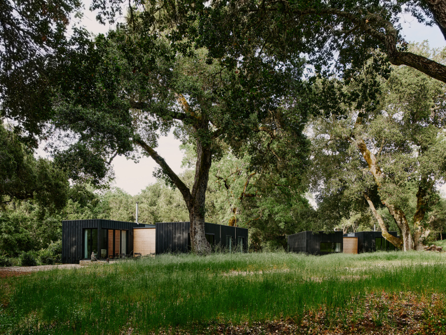 丨美国丨Studio Schicketanz-23