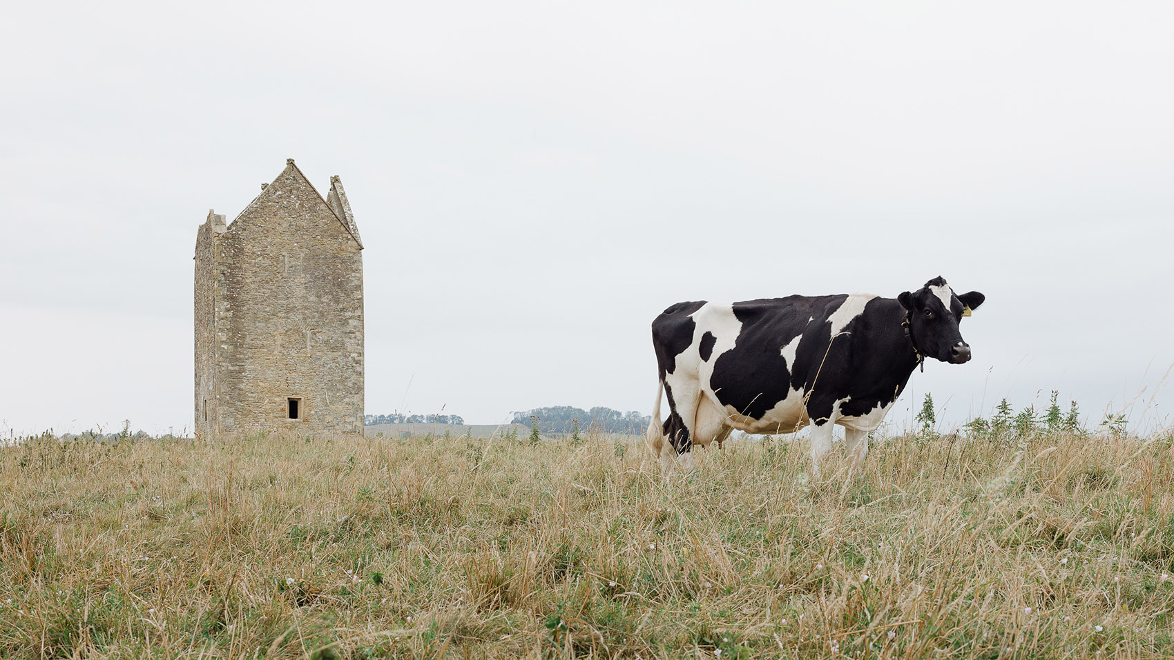 普利兹克奖 2014蛇形画廊展亭丨英国伦敦丨智利建筑师Smiljan Radić-72